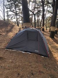 CAMPiii（キャンピー） masahito