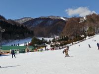 CAMPiii（キャンピー） kt77