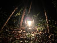 CAMPiii（キャンピー） たくみ