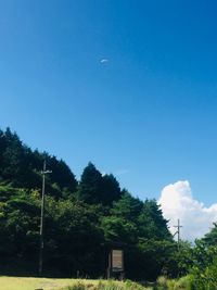 CAMPiii（キャンピー） yoshiyuki_style