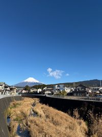 CAMPiii（キャンピー） tottoko