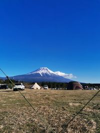 CAMPiii（キャンピー） アルパカ