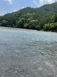 CAMPiii（キャンピー） s.
