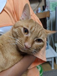 CAMPiii（キャンピー） とだ