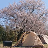 CAMPiii（キャンピー） たにくま