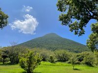 CAMPiii（キャンピー） 日南のさんま