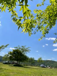 CAMPiii（キャンピー） 黒住幸子