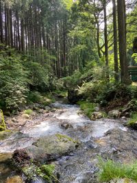 CAMPiii（キャンピー） 太郎