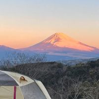 CAMPiii（キャンピー） 8216