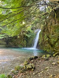 CAMPiii（キャンピー） みー