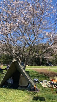 CAMPiii（キャンピー） とっとろ
