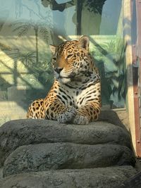 CAMPiii（キャンピー） ユウキ