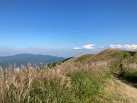 CAMPiii（キャンピー） むねきち