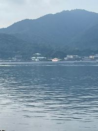 CAMPiii（キャンピー） 加藤龍馬