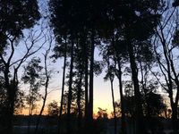 CAMPiii（キャンピー） てかる