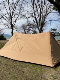 CAMPiii（キャンピー） かめっくす