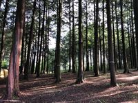 CAMPiii（キャンピー） 山口浩志