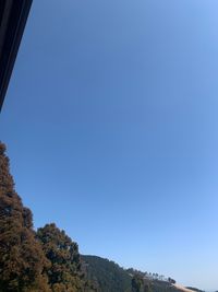 CAMPiii（キャンピー） 山、雪山、キャンプ好きの浅草のコーヒーショップのマネージャー