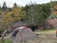 CAMPiii（キャンピー） まさ