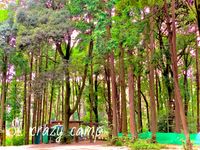 CAMPiii（キャンピー） SI. crazy camp