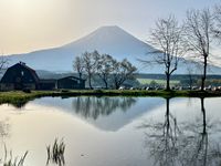 CAMPiii（キャンピー） かりぶー
