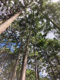 CAMPiii（キャンピー） けーけー