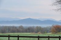 CAMPiii（キャンピー） ちゃん