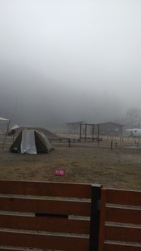 CAMPiii（キャンピー） キウイ