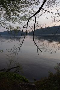 CAMPiii（キャンピー） まぁまぁ