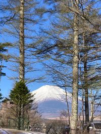 CAMPiii（キャンピー） あめ