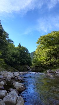 CAMPiii（キャンピー） やんや