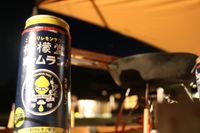 CAMPiii（キャンピー） ゆうとも