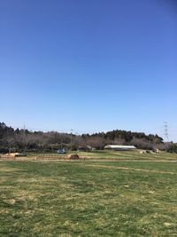 CAMPiii（キャンピー） キャンプに夢中