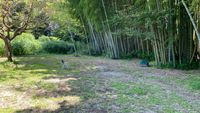 CAMPiii（キャンピー） よしでん