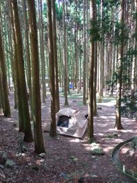 CAMPiii（キャンピー） Nangoku