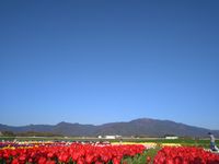 CAMPiii（キャンピー） るしか