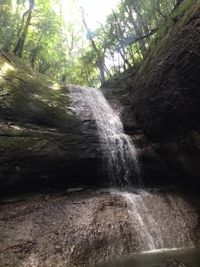 CAMPiii（キャンピー） ぷーさん