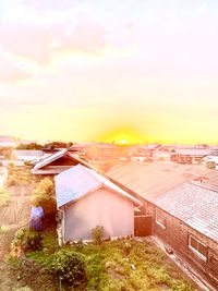 CAMPiii（キャンピー） shunsei