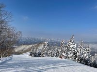 CAMPiii（キャンピー） やし