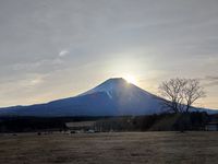 CAMPiii（キャンピー） ナオト