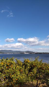 CAMPiii（キャンピー） まさやん