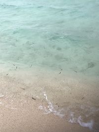 CAMPiii（キャンピー） クドヨメ