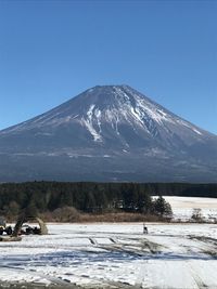 CAMPiii（キャンピー） gosho