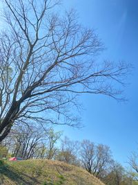 CAMPiii（キャンピー） ますいずみ
