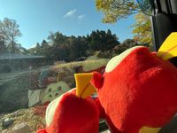 CAMPiii（キャンピー） kana
