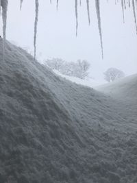 CAMPiii（キャンピー） トマト