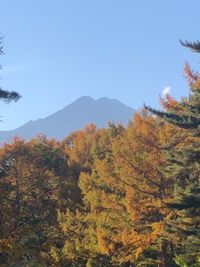 CAMPiii（キャンピー） ざっきー