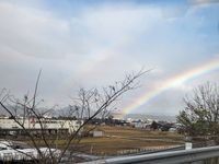 CAMPiii（キャンピー） せせり
