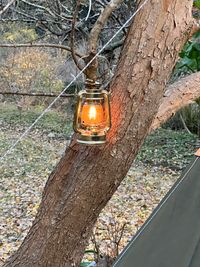 CAMPiii（キャンピー） グッドキャンパー