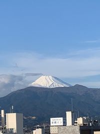 CAMPiii（キャンピー） よっしー
